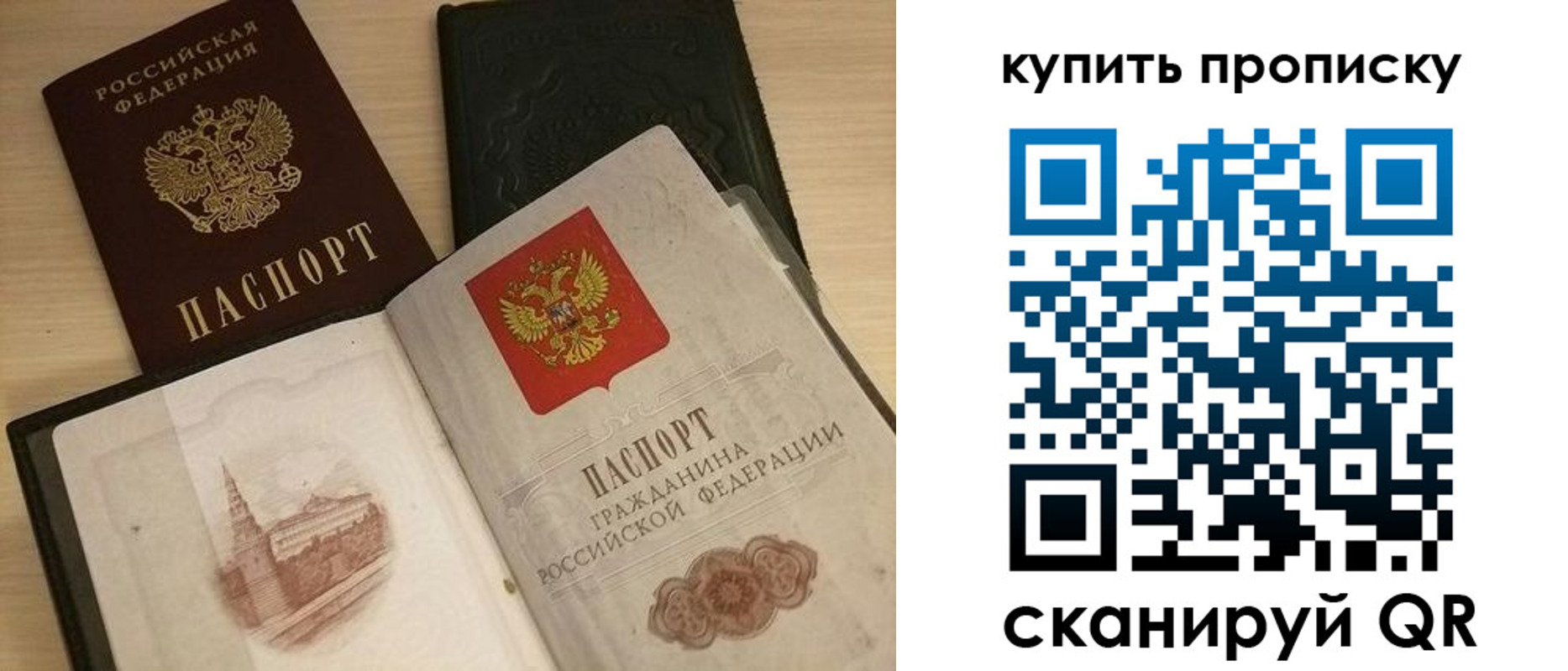 прописка гарантия в Ржеве
